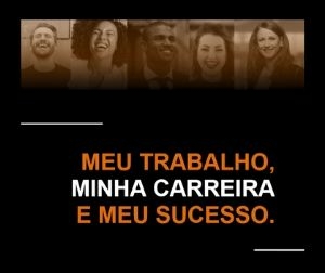 Meu Trabalho Minha Carreira e Meu Sucesso Ebook